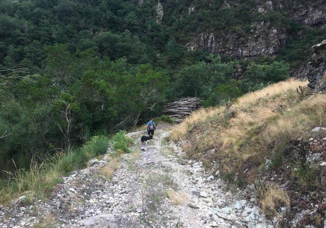 Aunque se puede hacer el regreso por el itinerario de subida, desde la collada Robledal sale una pista que baja directa y rápida al punto de partida