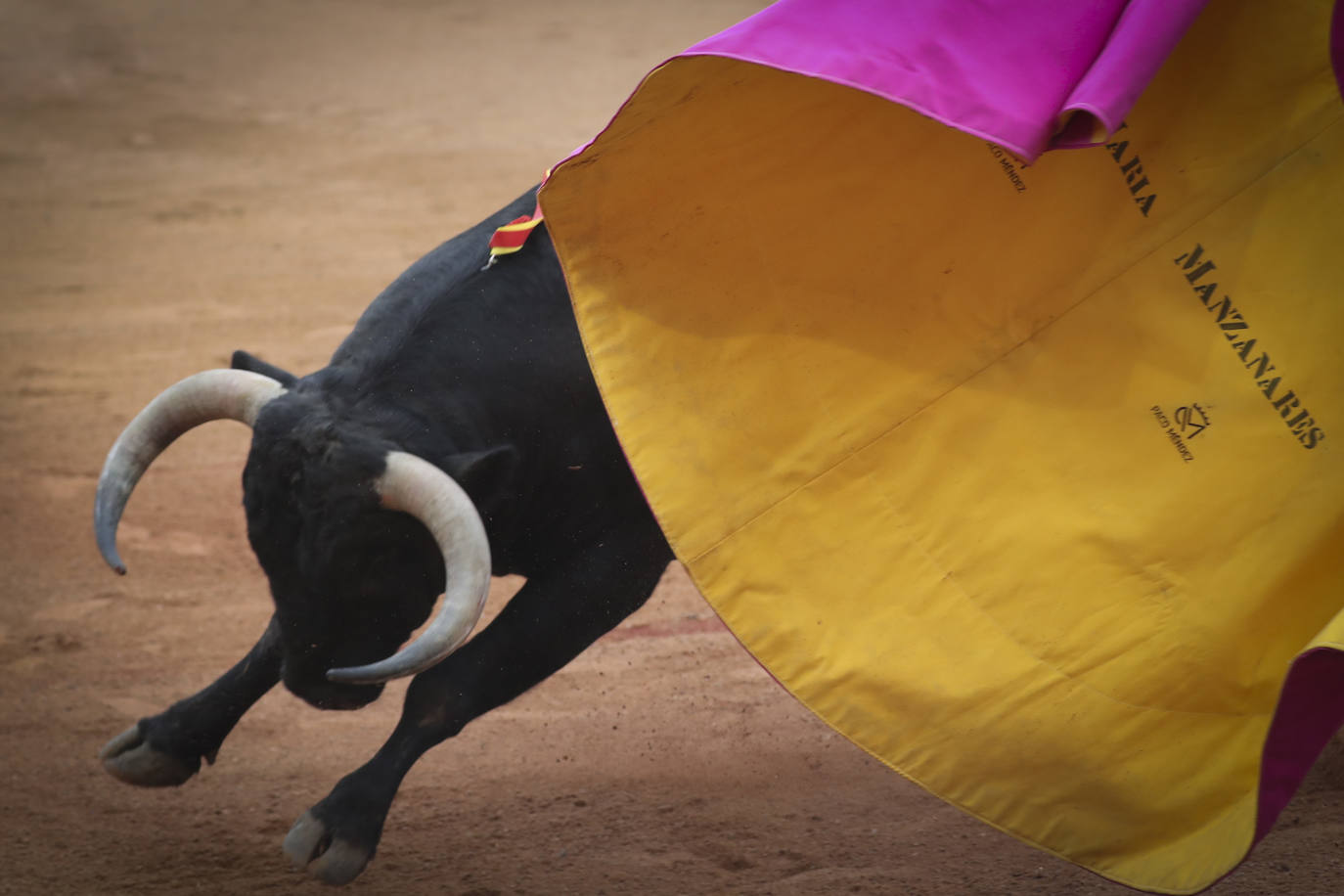 Tercera jornada de toros en Gijón