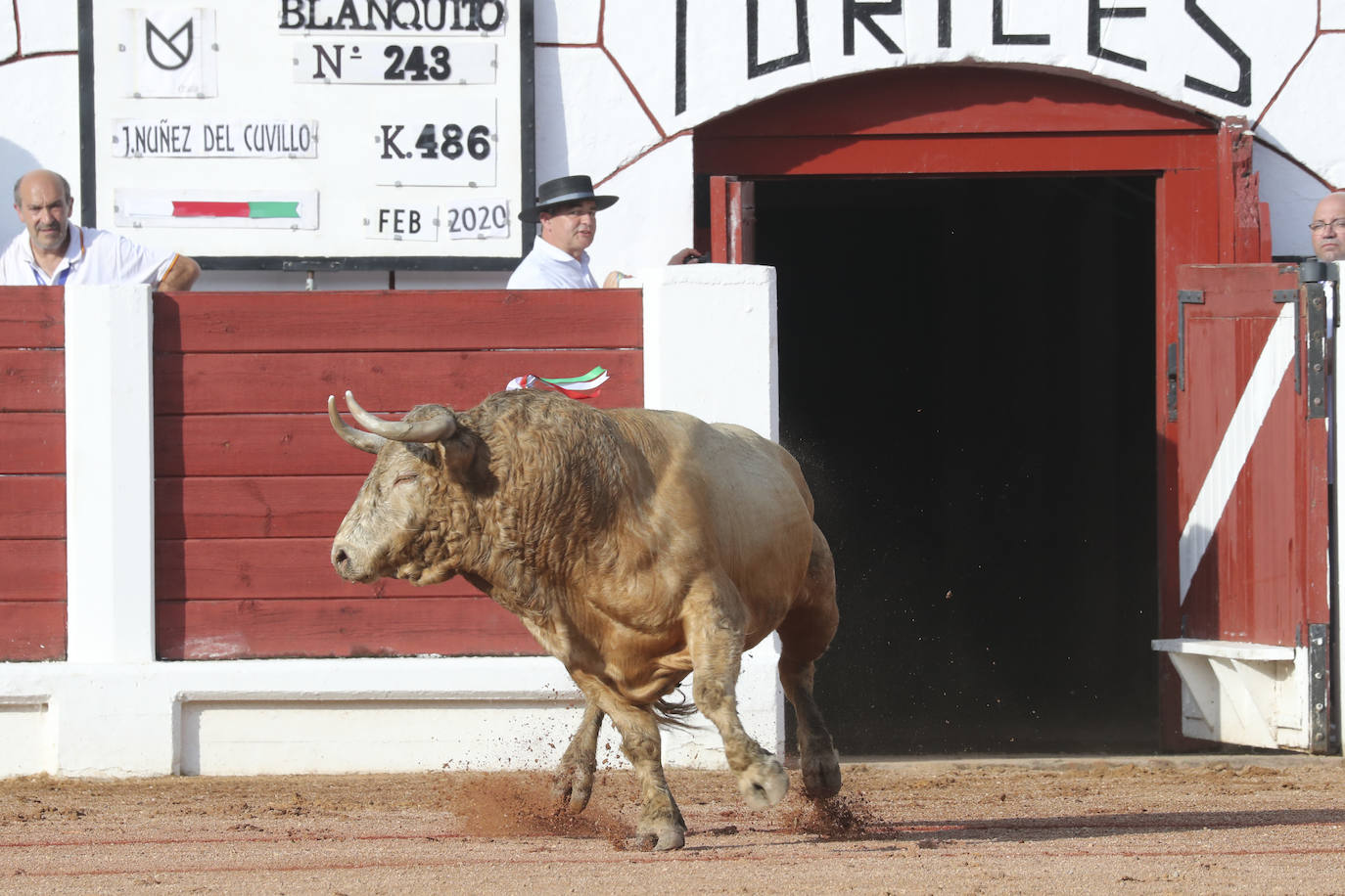 Último día de toros en Gijón