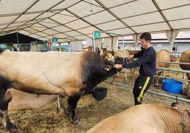 Competir para aprender y mejorar la raza