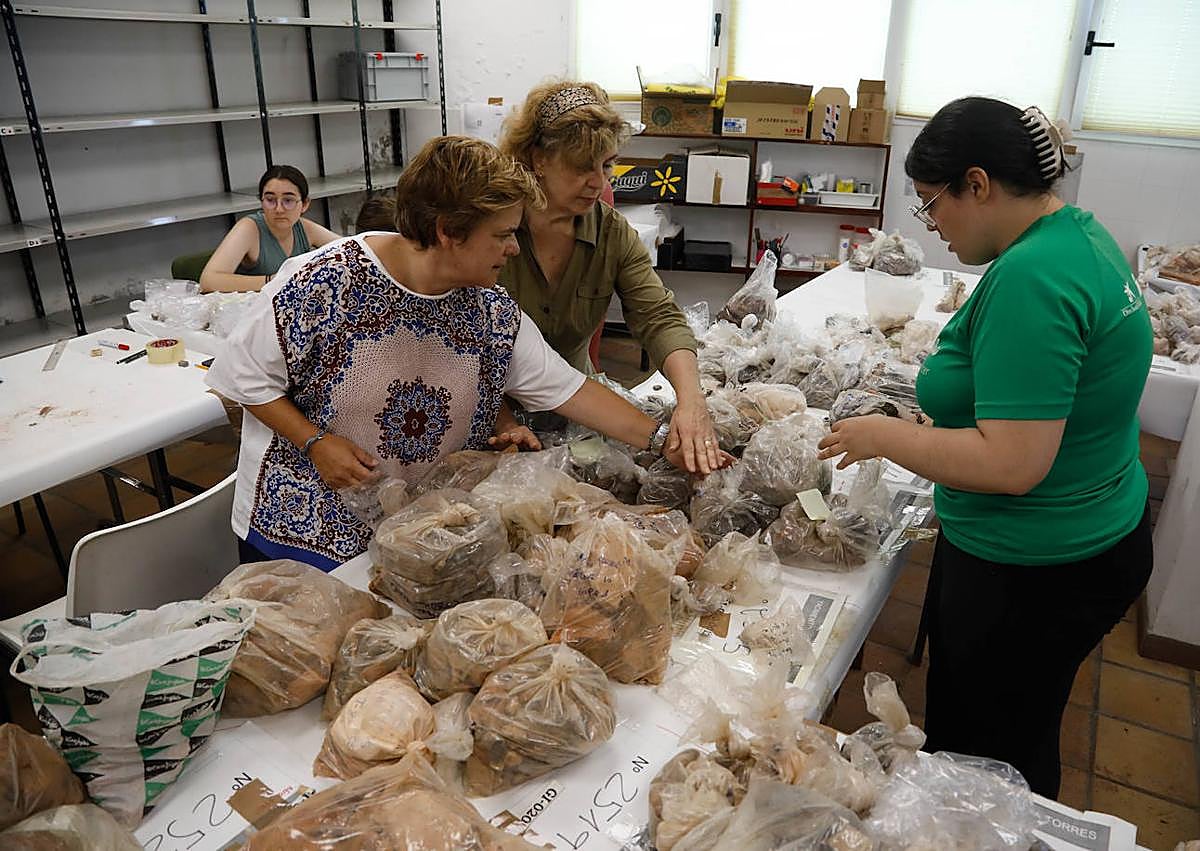 Imagen secundaria 1 - La nueva campaña de excavaciones en la Campa Torres busca cerrar el «guion cronológico» del yacimiento