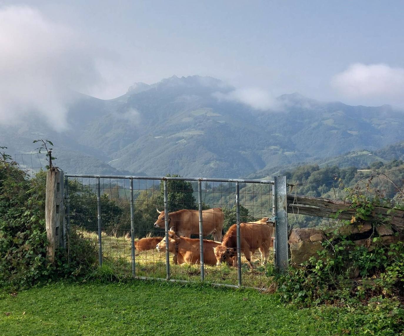 Imagen secundaria 1 - Las buenas vistas, los rincones con encanto, las campas ganaderas y las montañas que circundan el valle adornan esta sencilla caminata