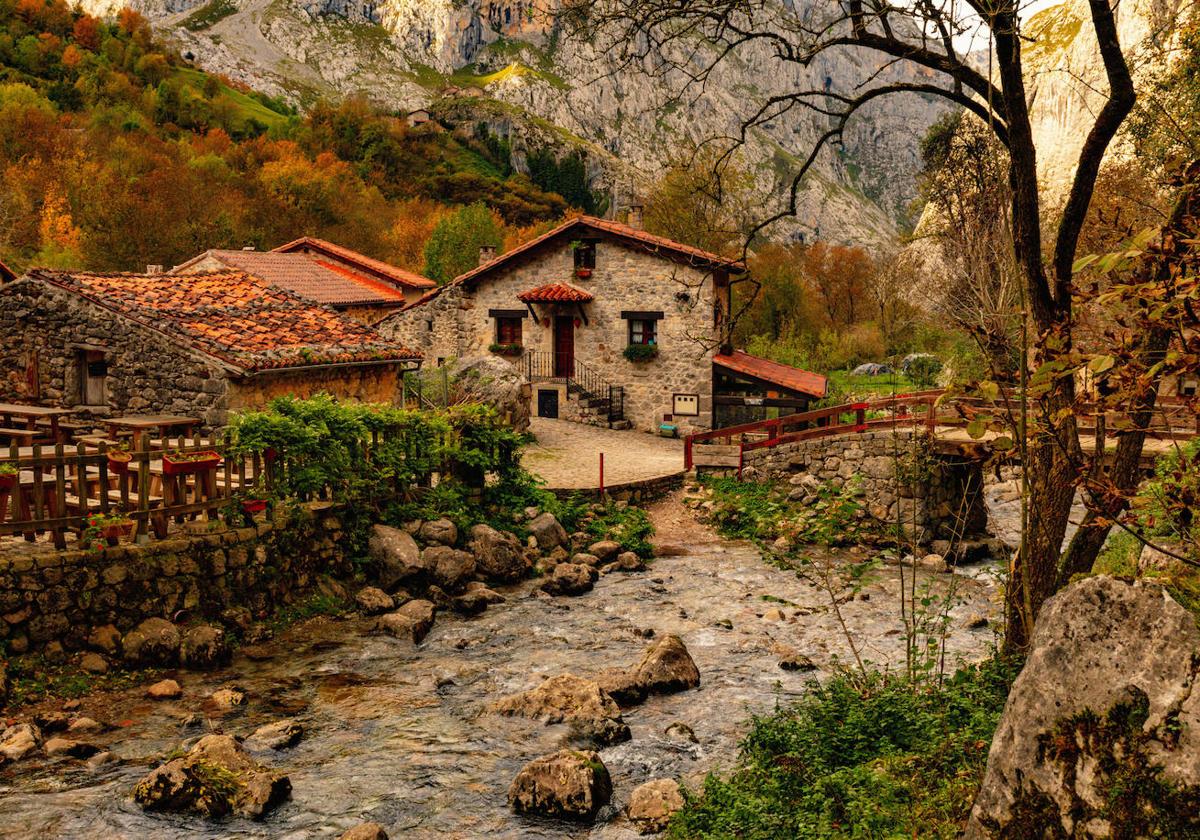 Bulnes.