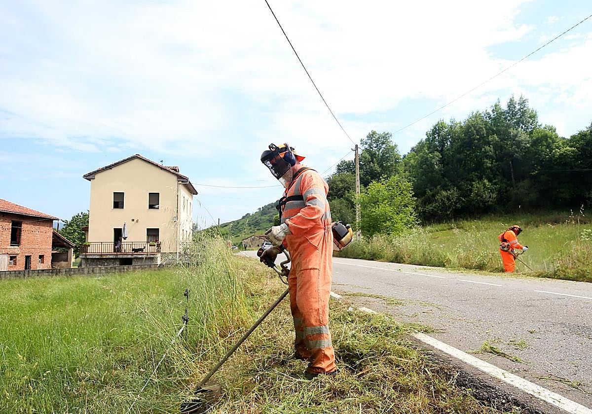 Un operario realiza labores de limpieza de los márgenes de la carretera de titularidad autonómica AS-311, entre Grado y Tameza.