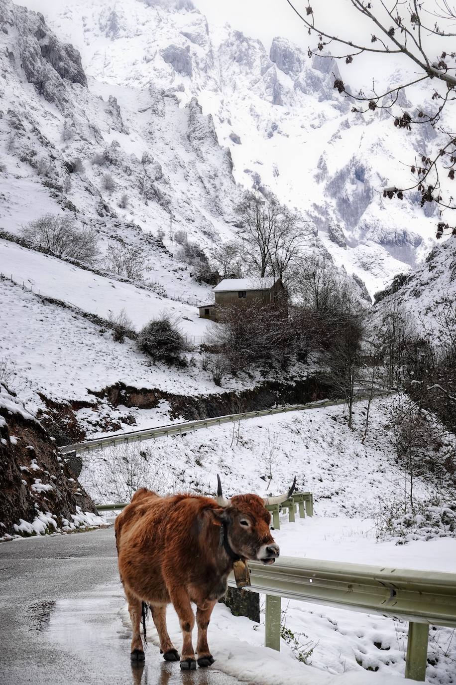 En el corazón de los Picos de Europa: Sotres, un pueblo de altura y de postal