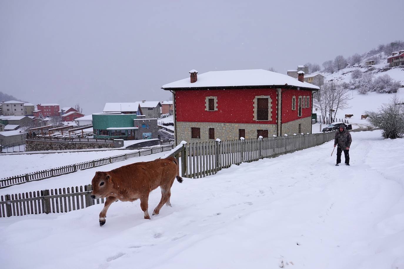 En el corazón de los Picos de Europa: Sotres, un pueblo de altura y de postal