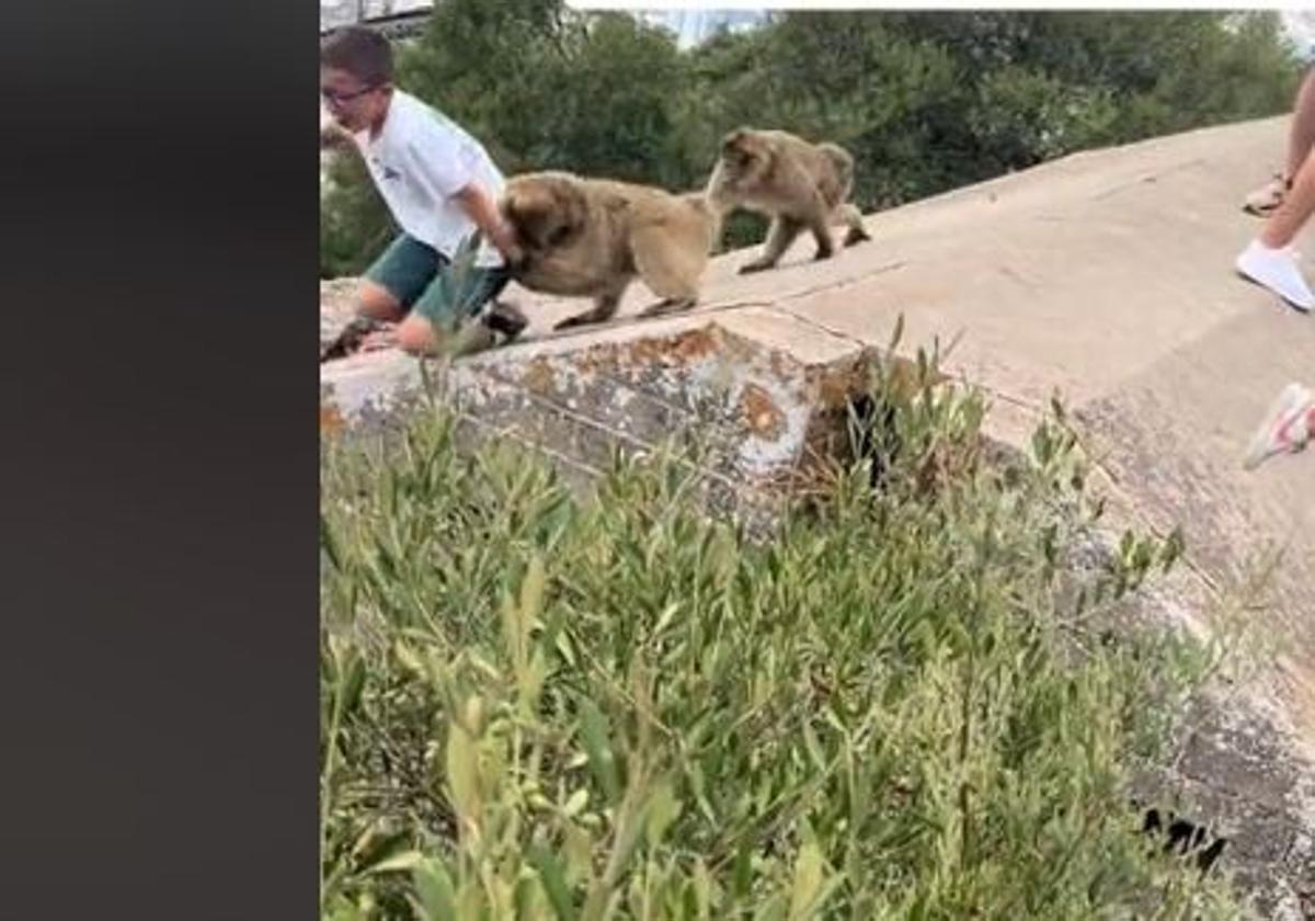 Momento inicial de la persecución.