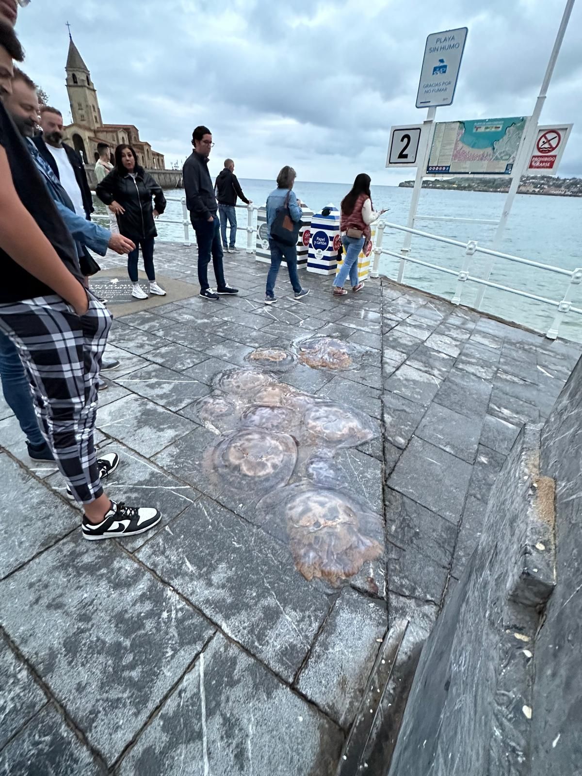 Las medusas suben al Muro de San Lorenzo