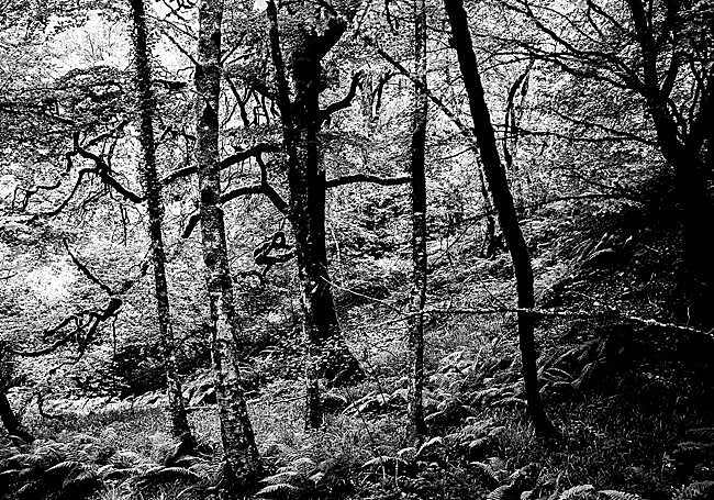 Una de las obras de la exposición.