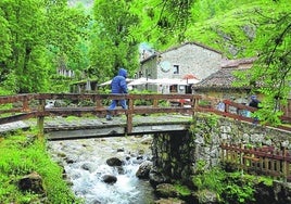 Bulnes.