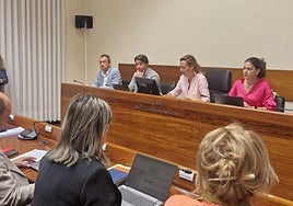 Ovidio Zapico, primero por la izquierda, en la mesa de la Comisión de Ordenación del Territorio y Vivienda, en la que compareció ayer.