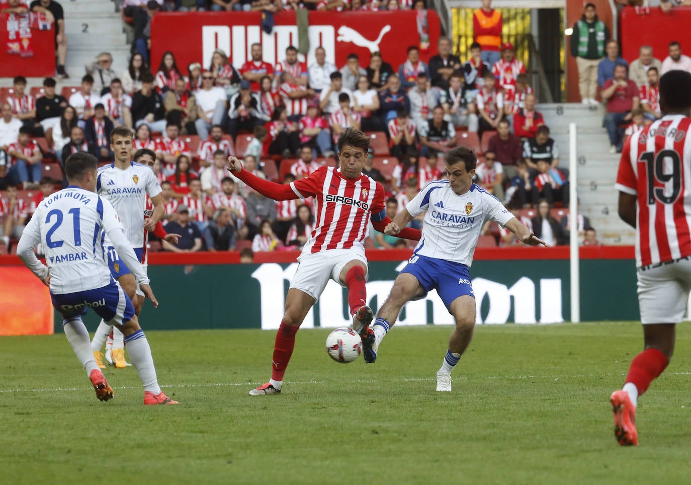 Las mejores imágenes del Sporting de Gijón - Real Zaragoza