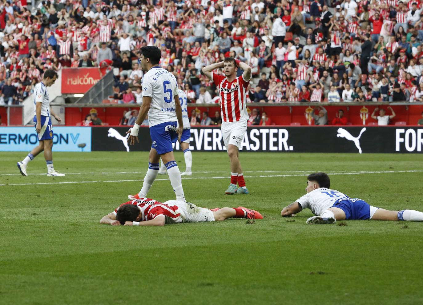 Las mejores imágenes del Sporting de Gijón - Real Zaragoza