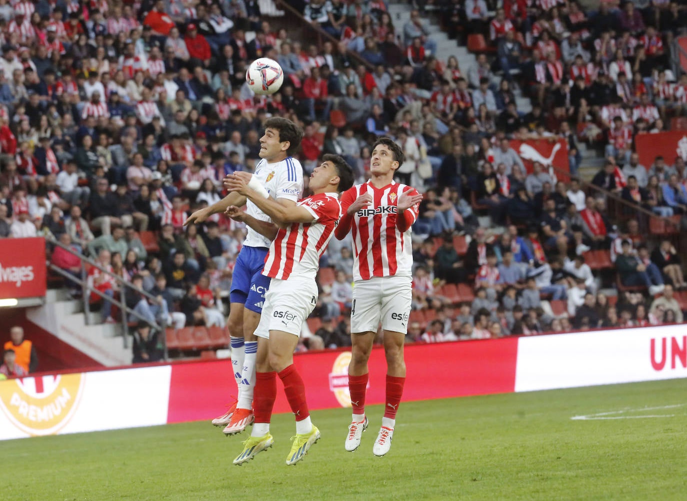 Las mejores imágenes del Sporting de Gijón - Real Zaragoza