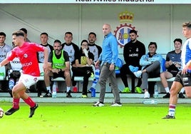 Rozada, junto al banquillo del Real Avilés en el partido del domingo ante el Laredo en el Suárez Puerta.