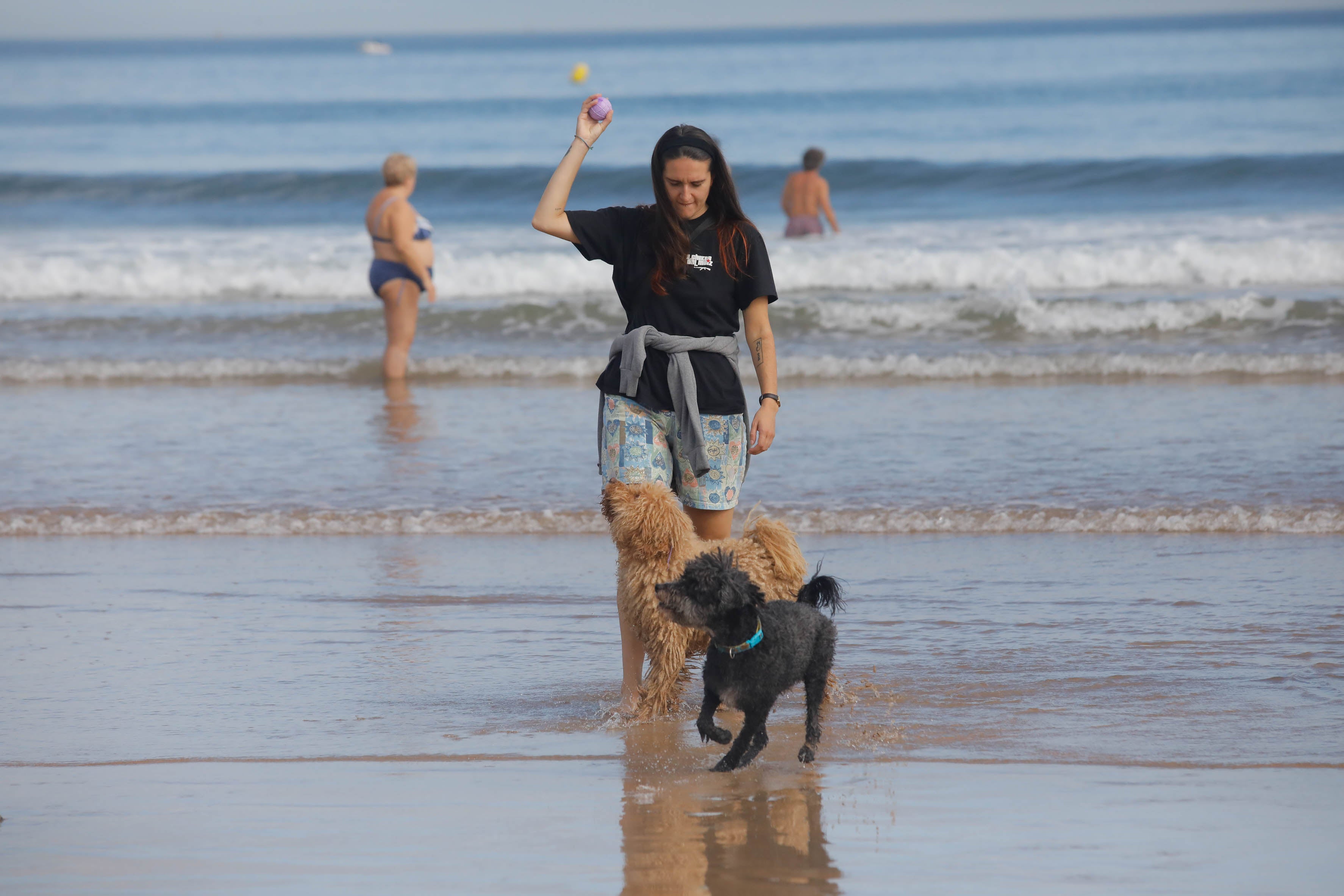 Diversión canina en San Lorenzo: los perros vuelven a playa