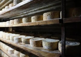 Un cuarto de la producción de queso Cabrales viaja fuera del país