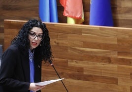 La consejera de Cultura, Política Llingüística y Deporte, Vanessa Gutiérrez, en la Junta General del Principado de Asturias.