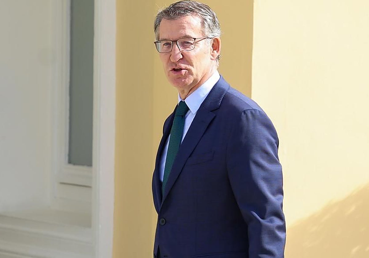 Alberto Núñez Feijóo, presidente del PP