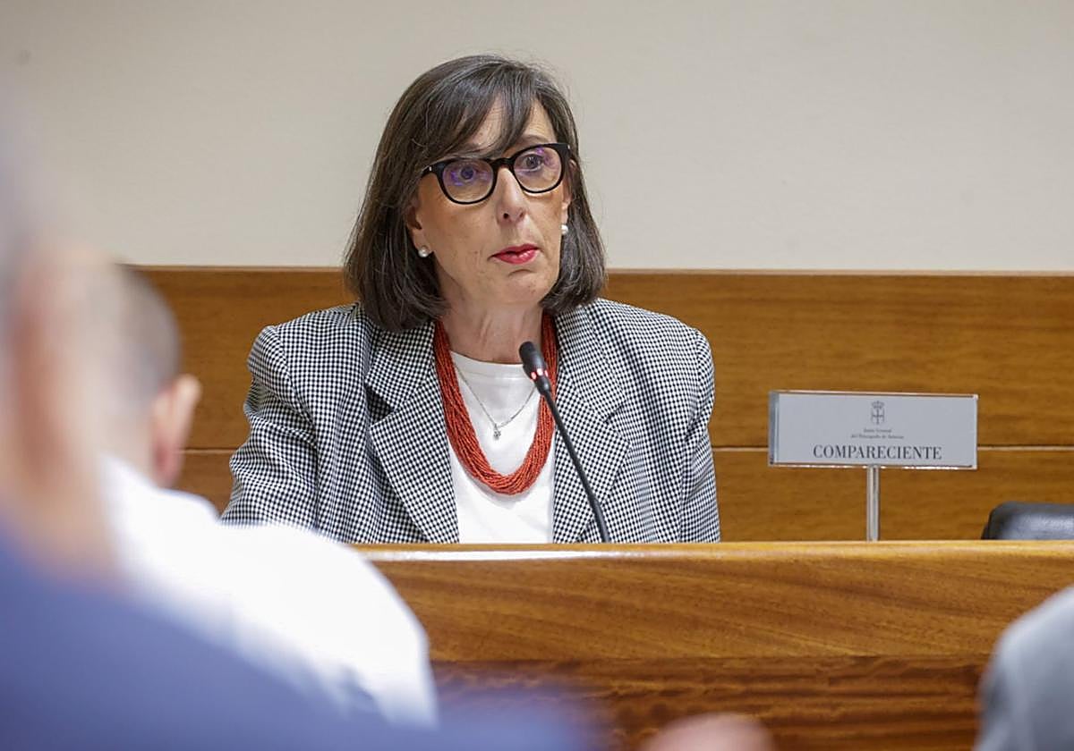 La consejera de Transición Ecológica, Industria y Desarrollo Económico, Nieves Roqueñí, en la Junta esta mañana.