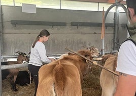 «Tenemos jóvenes que mantienen a la ganadería como gran motor económico»