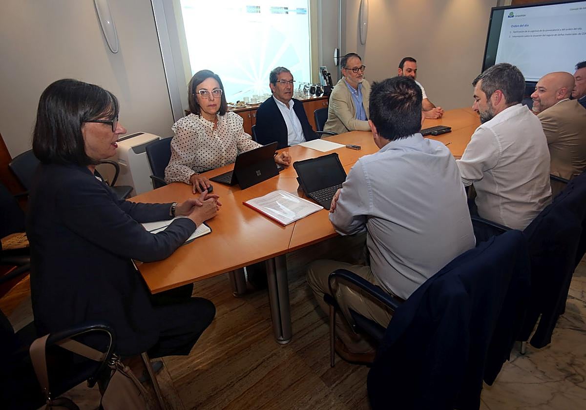 Nieves Roqueñí preside la reunión del consejo de administración de Cogersa.