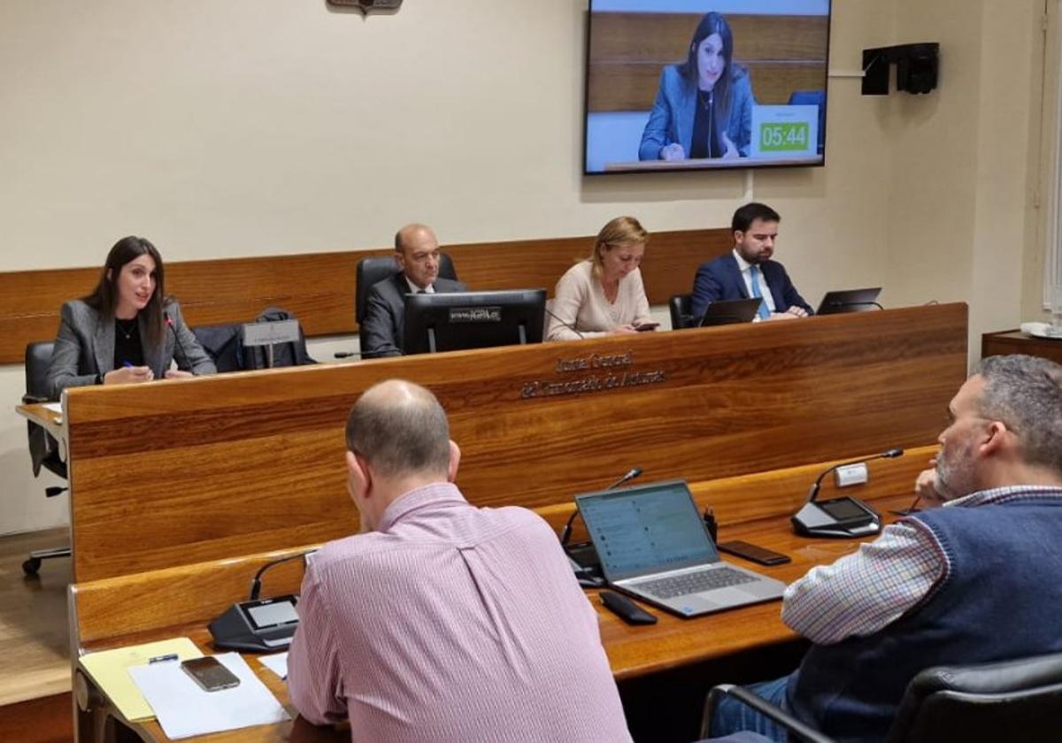 Raquel García, directora general de Asuntos Europeos del Principado, a la izquierda, en la Junta General.