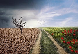 Acelerar la transformación ecológica para actuar ante el cambio climático