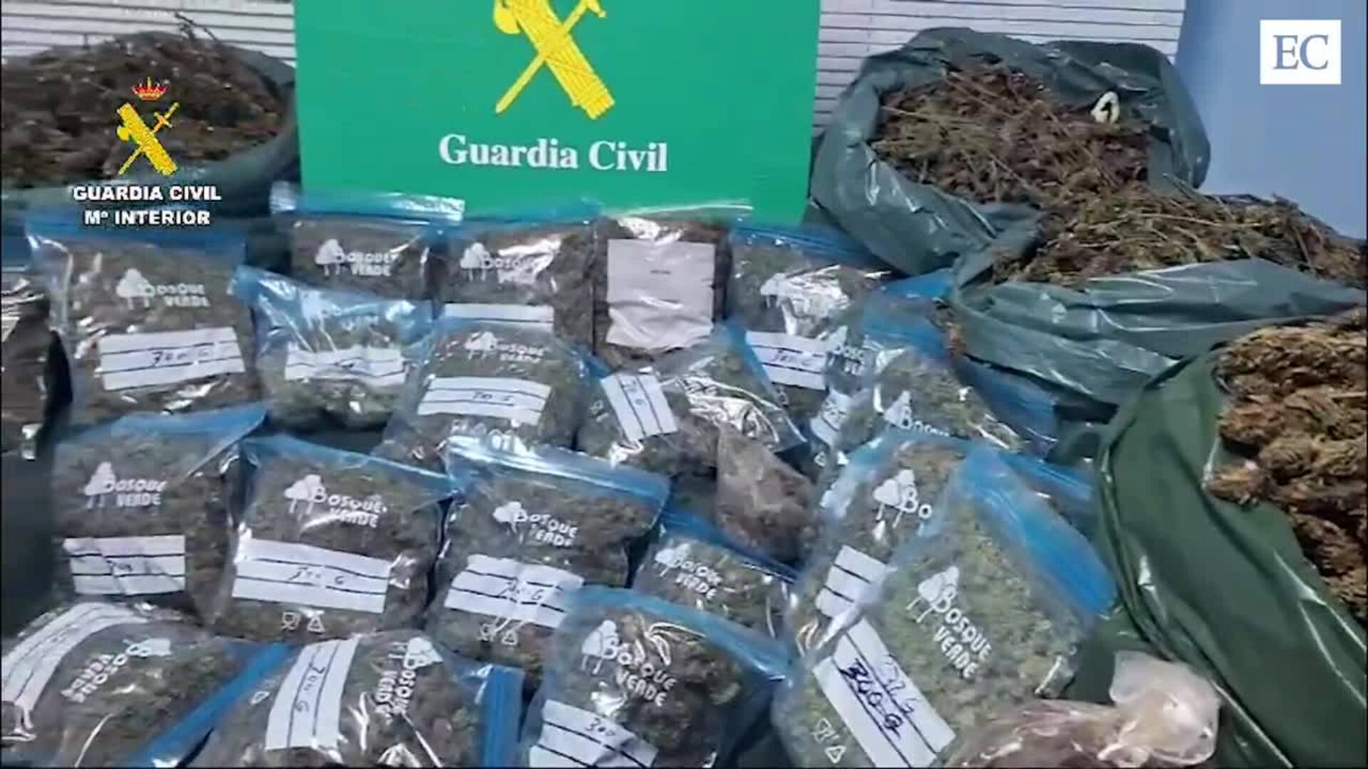 Incautados más de 36 Kg de marihuana en una plantación en Llanera