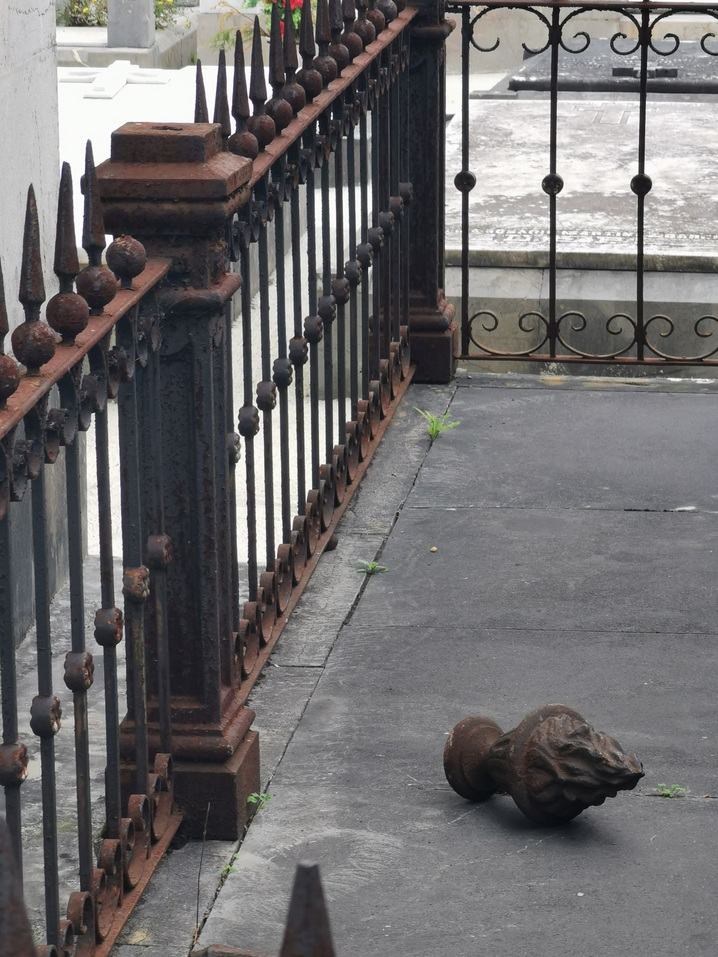 El cementerio de La Carriona en Avilés, desvalijado en víspera de los Santos