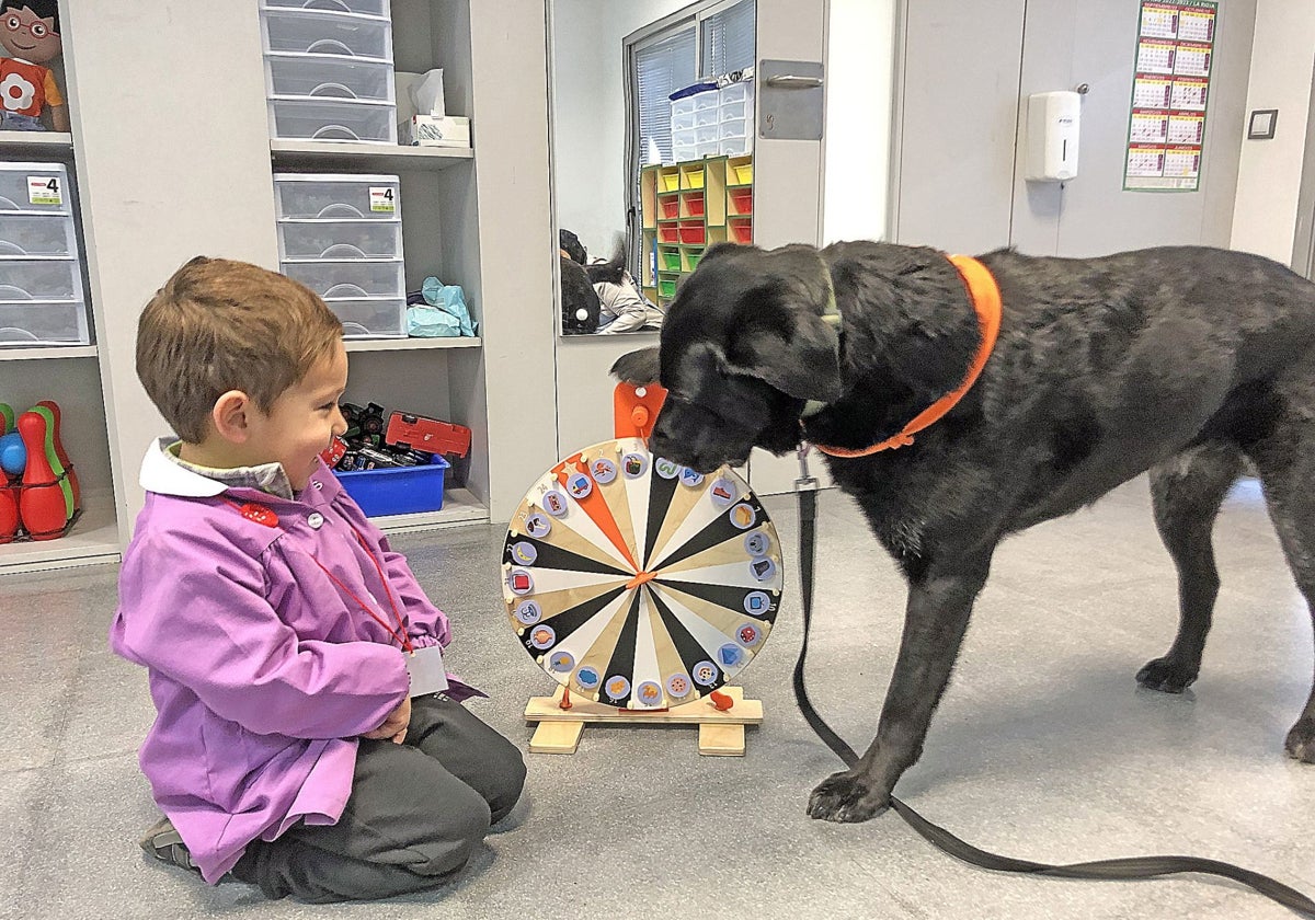 Un niño juega con un perro en un proyecto de aula inclusiva para niños con autismo de un colegio.