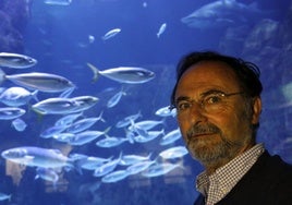 Fernando González Sitges, en el Acuario de Gijón.