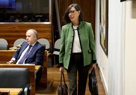 La consejera Nieves Roqueñí, antes de su comparecencia.