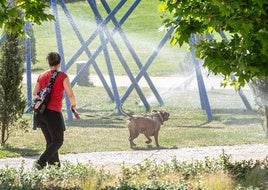 Una mujer pasea con un perro potencialmente peligroso en un parque.