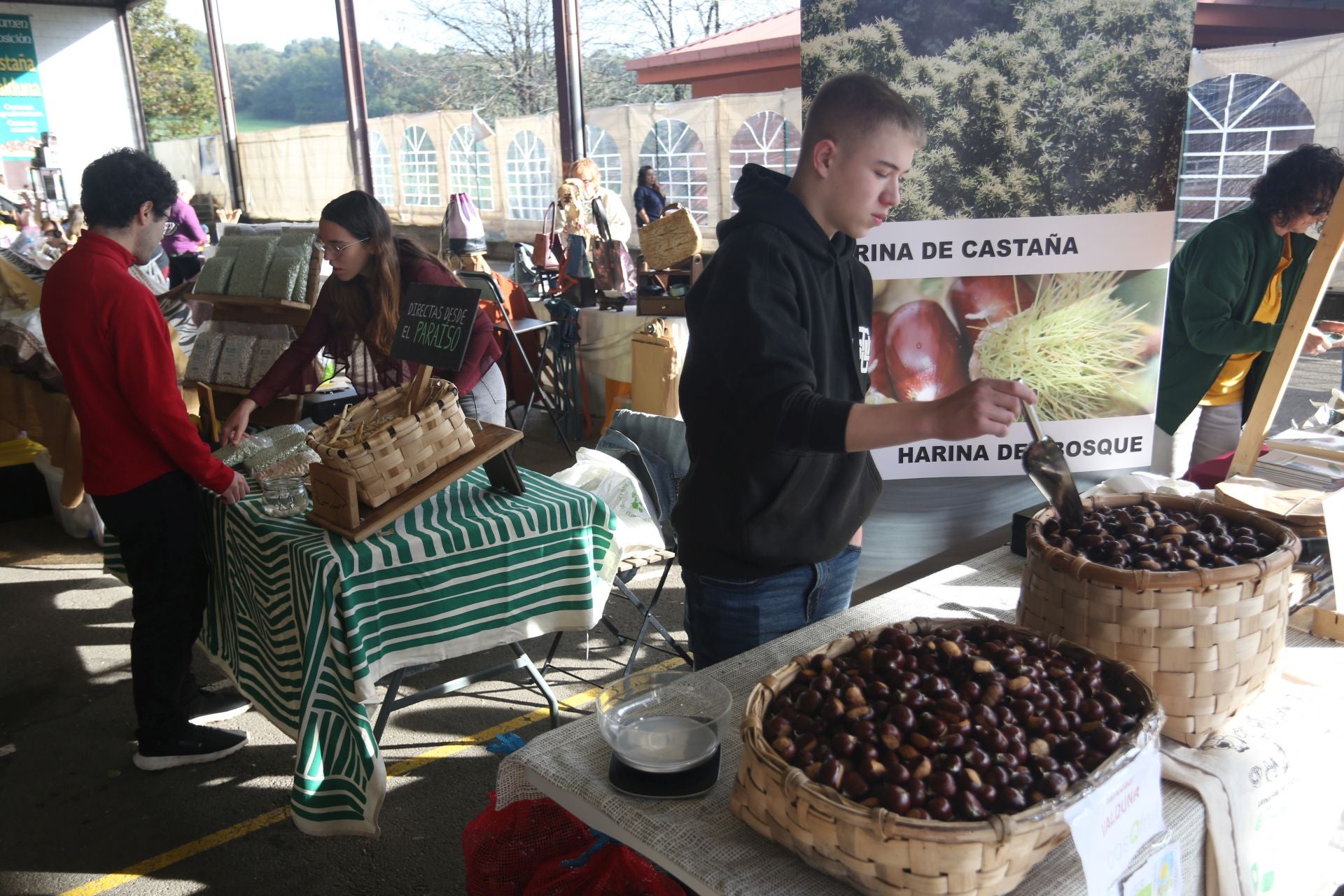 XXIV Certamen Exposición de la Castaña Valduna en Santullano