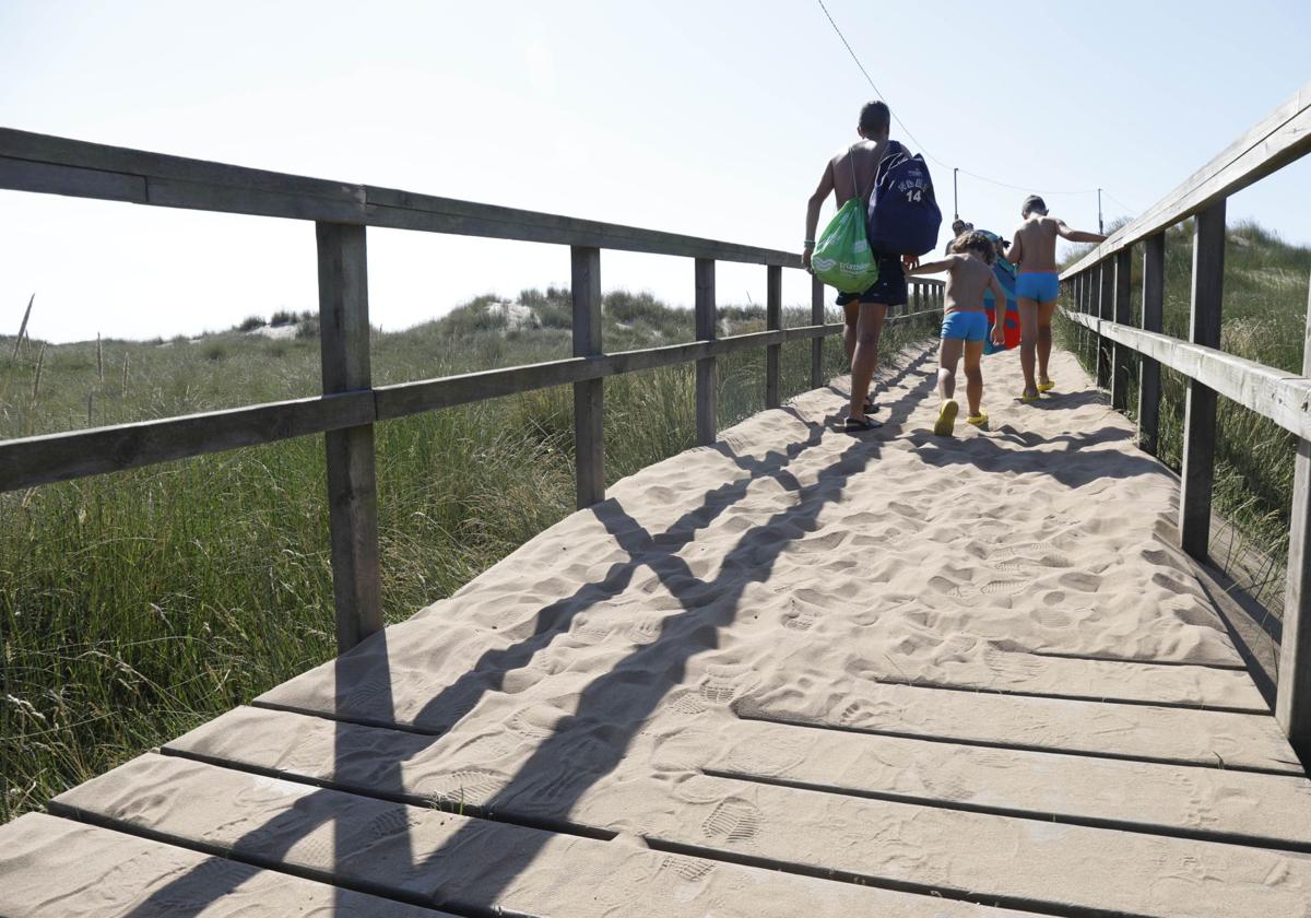 Pasarela en la zona de las dunas de El Espartal.