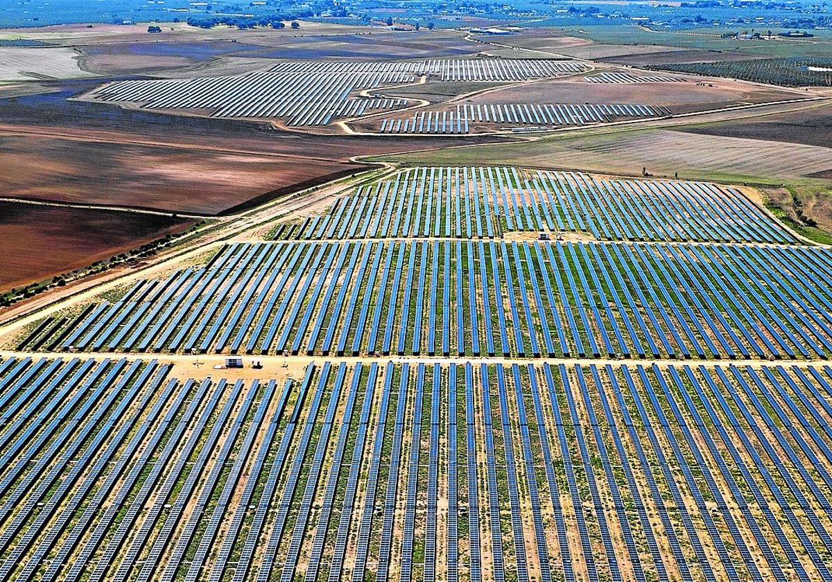 Imagen de seguidores solares construidos por la empresa corverana en Castilla-La Mancha.