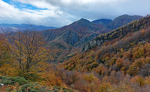 Tramos de largos y tupidos bosques en el camino hasta la cumbre