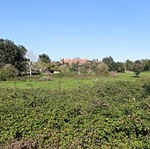 El compromiso de Moriyón de agilizar los trámites, clave para la Universidad Europea