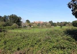 Terrenos del futuro Parque Tecnológico de Gijón por los que ha presentado la oferta la Universidad Europea.