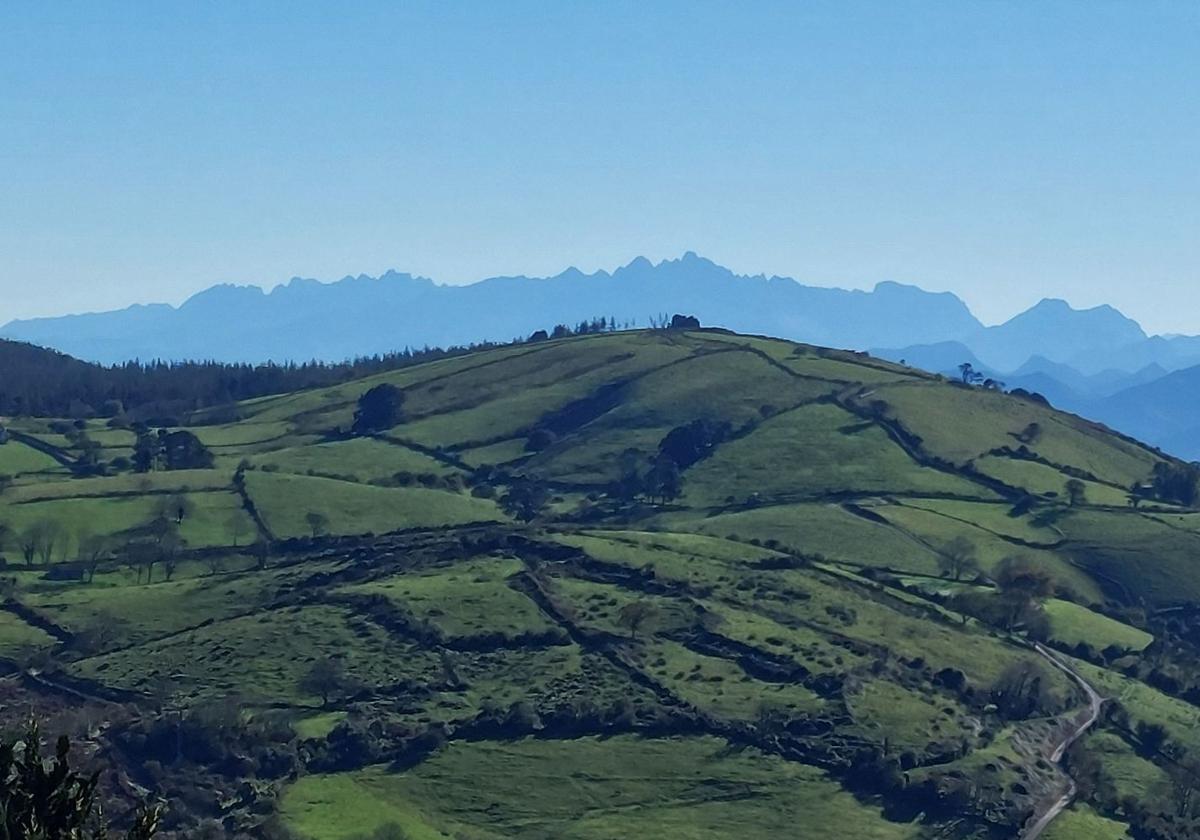 Vistas hacia Picos de Europa desde el recorrido circular que une el Monasterio de Valdedios con el Altu de la Campa, en Villaviciosa
