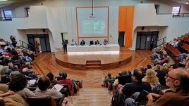 El rector, Ignacio Villaverde, durante su exposición de ayer ante el Claustro de la Universidad de Oviedo.