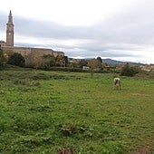 Terrenos sobre los que se prevé construir el campus de la Universidad Europea.
