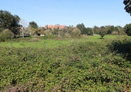 Terrenos de la ampliación del Parque Científico y Tecnológico por los que ha presentado oferta la Universidad Europea.