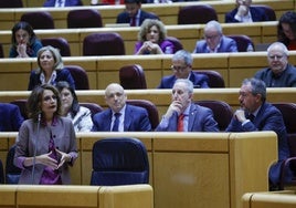 La vicepresidenta primera y ministra de Hacienda, María Jesús Montero, en una sesión del Senado.