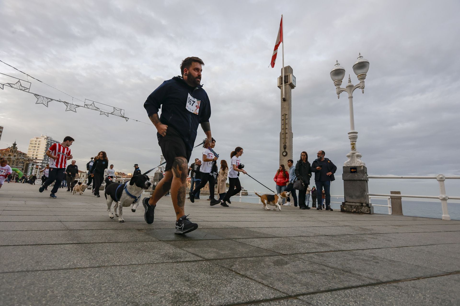 Zancadas de solidaridad: las imágenes de la carrera anti-sida en Gijón