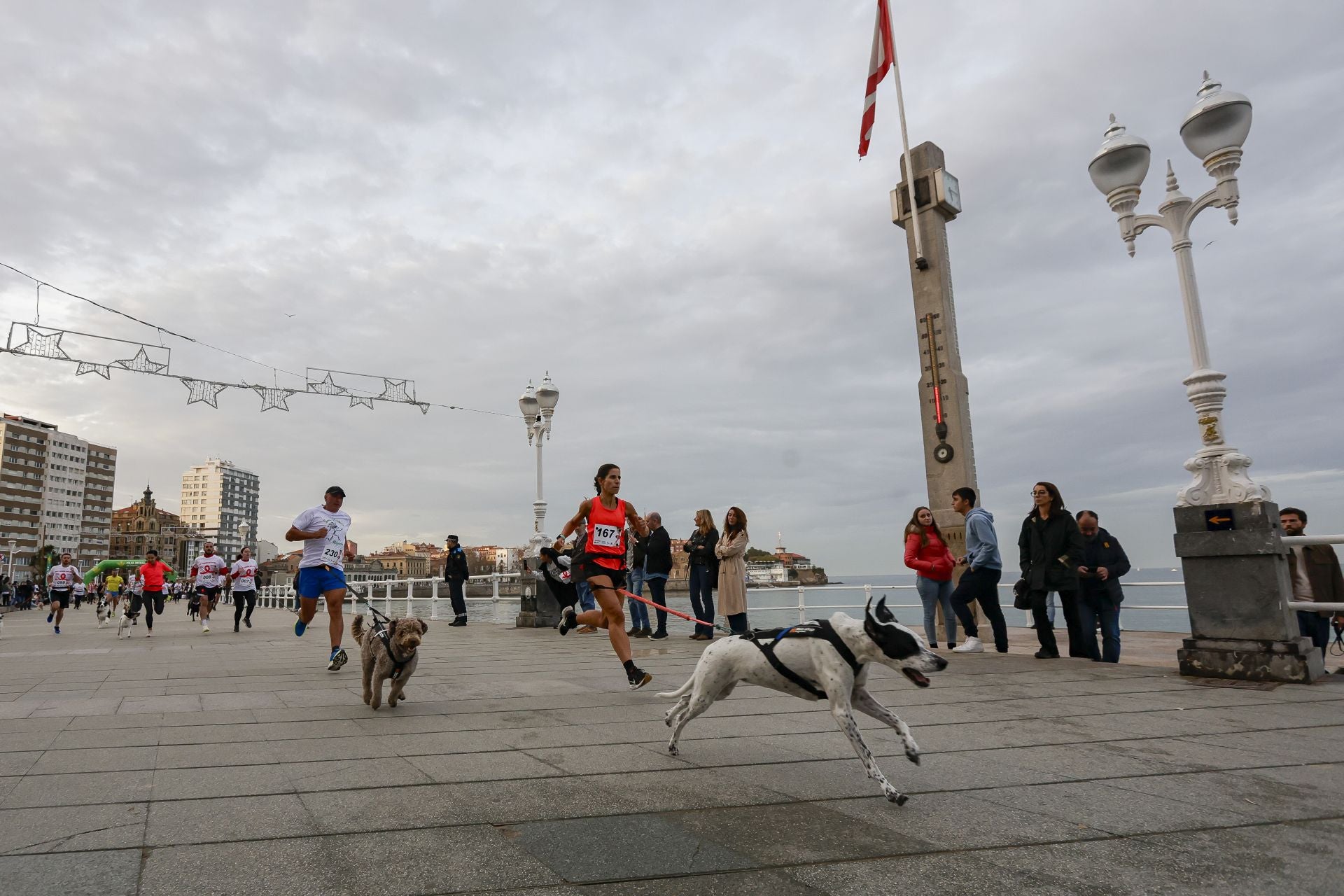 Zancadas de solidaridad: las imágenes de la carrera anti-sida en Gijón