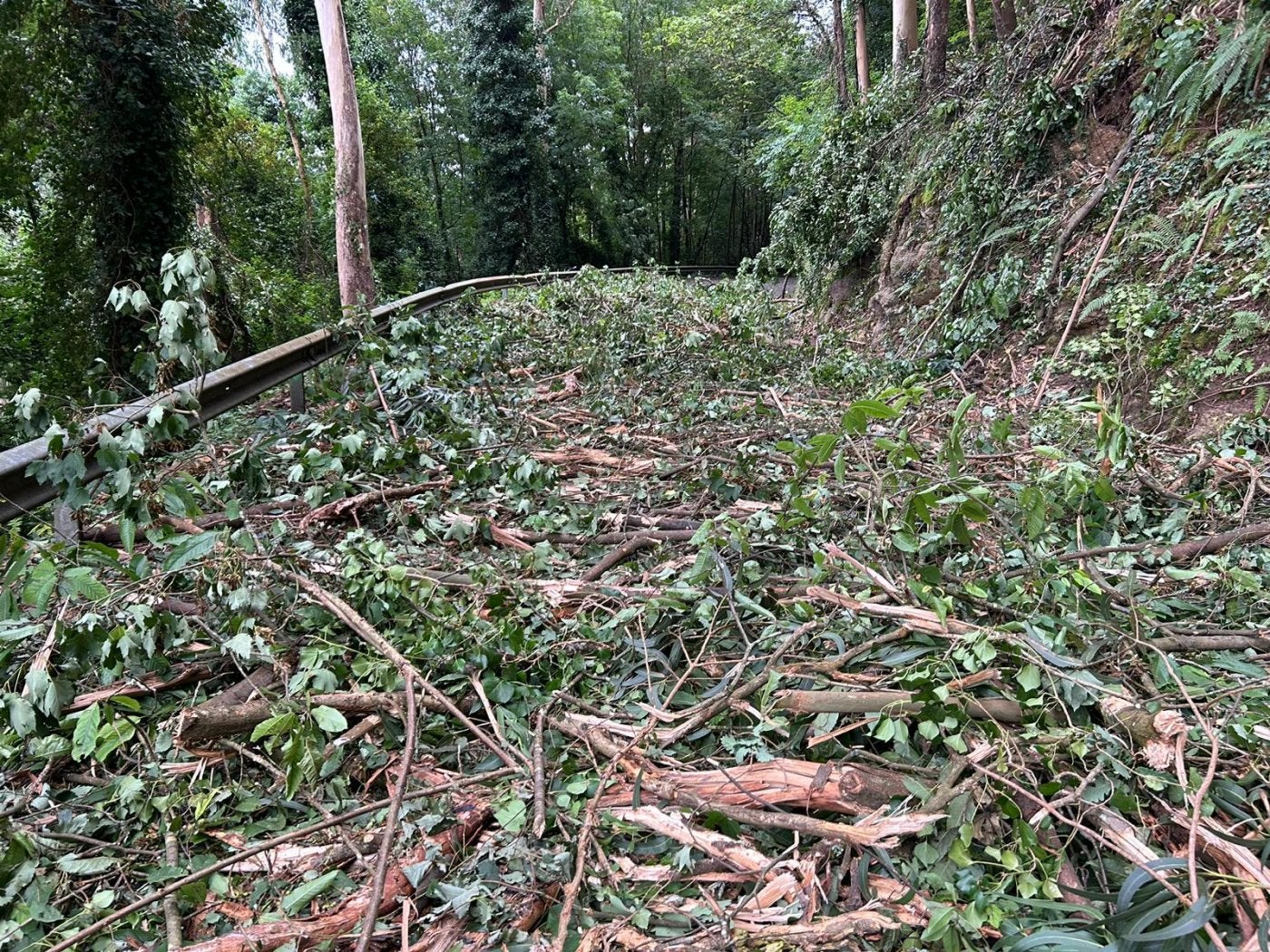 Imagen del estado de la carretera el pasado agosto en vísperas del Xiringüelu .