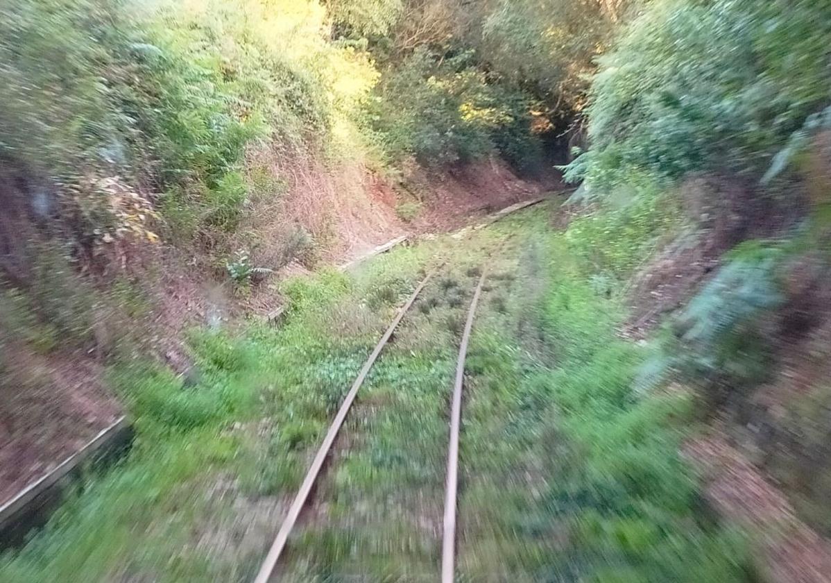 Una vía de ancho métrico asturiana, en la línea del accidente, comida por la vegetación.