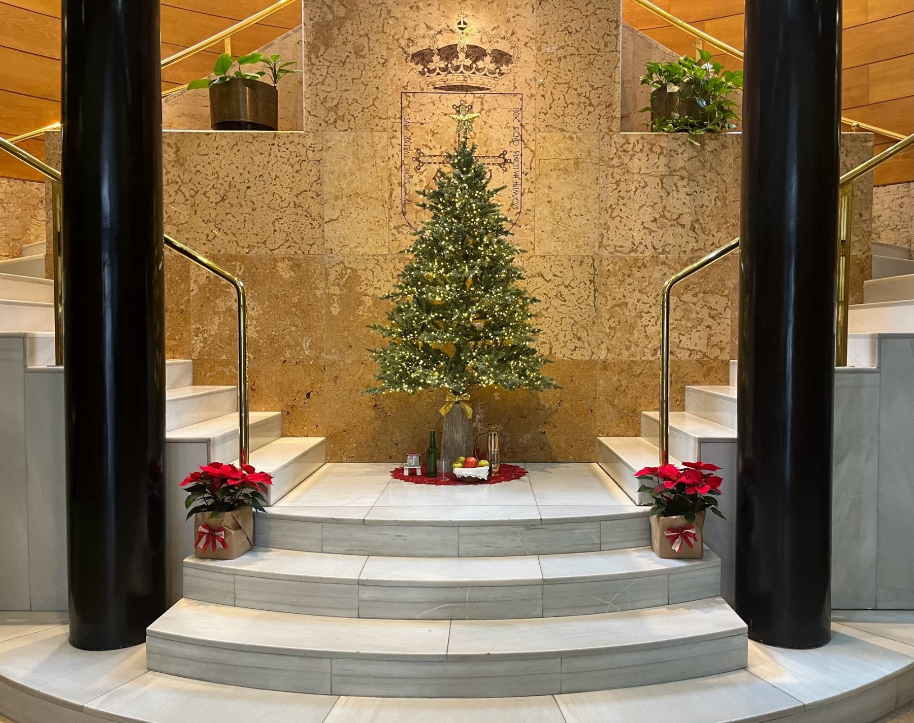 El arbolón de Presidencia.